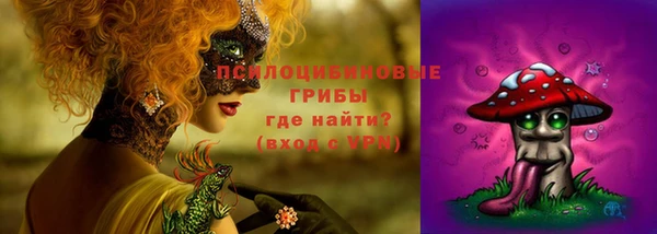 герыч Бронницы