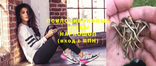 герыч Бронницы