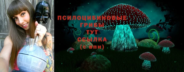 гашишное масло Богородск