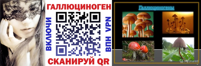 Галлюциногенные грибы мицелий  Вятские Поляны 