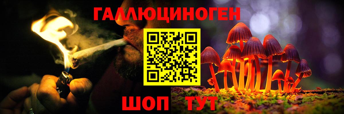 Галлюциногенные грибы GOLDEN TEACHER Вятские Поляны