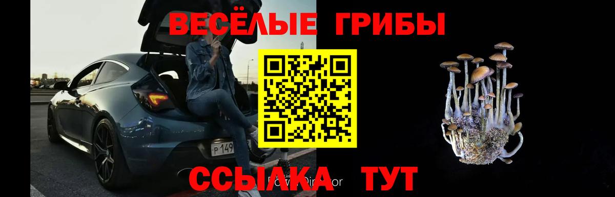 Галлюциногенные грибы Magic Shrooms  Вход с VPN  Галлюциногенные грибы прущие грибы  Вятские Поляны 